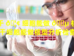 干 🦢 细胞能做 🐵 核型分析（干细胞能做核型分析检查吗）